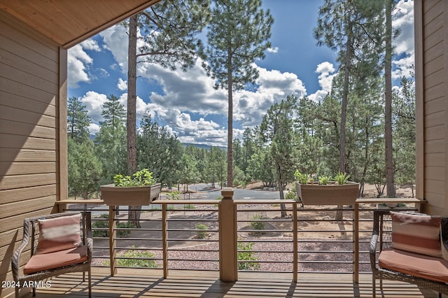 4047 W Forest Ct, Pine, AZ 85544 - exterior space