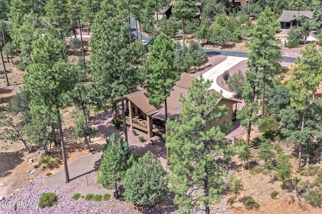 4047 W Forest Ct, Pine, AZ 85544 - drone / aerial view