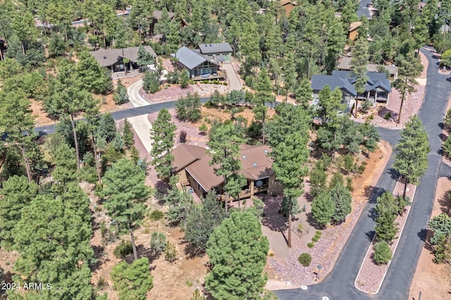 4047 W Forest Ct, Pine, AZ 85544 - bird's eye view