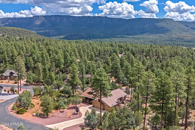 birds eye view of property with a mountain view