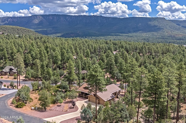 4047 W Forest Ct, Pine, AZ 85544 - birds eye view of property with a mountain view and a forest view