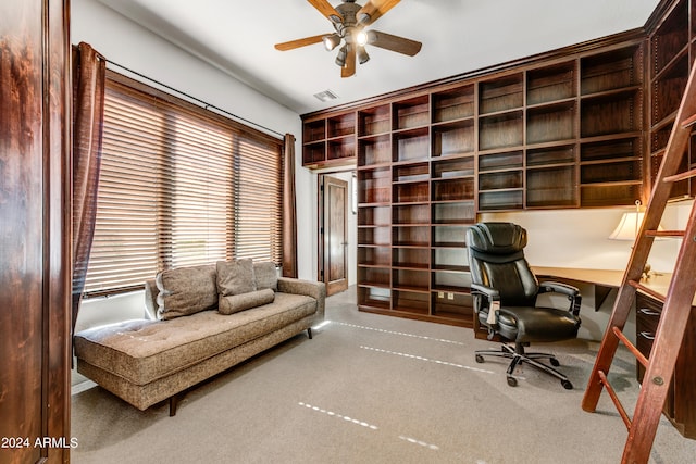 3105 S Amble Pass, Gold Canyon, AZ 85118 - carpeted office space with ceiling fan