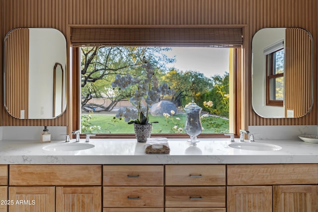 6648 E Horseshoe Rd, Paradise Valley, AZ 85253 - bathroom featuring a sink, plenty of natural light, and double vanity