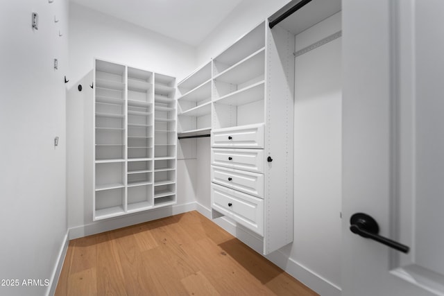 6648 E Horseshoe Rd, Paradise Valley, AZ 85253 - walk in closet with light wood-type flooring