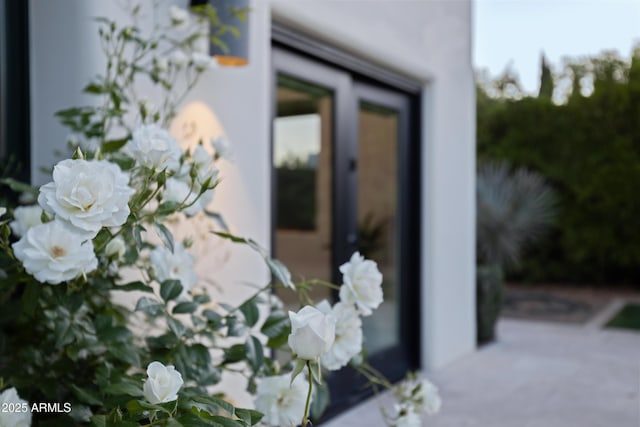 6648 E Horseshoe Rd, Paradise Valley, AZ 85253 - details with stucco siding