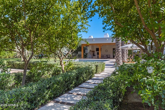 6648 E Horseshoe Rd, Paradise Valley, AZ 85253 - back of property with a patio, stucco siding, and an outdoor pool