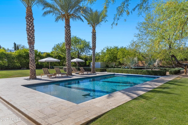 6648 E Horseshoe Rd, Paradise Valley, AZ 85253 - outdoor pool with a lawn and a patio