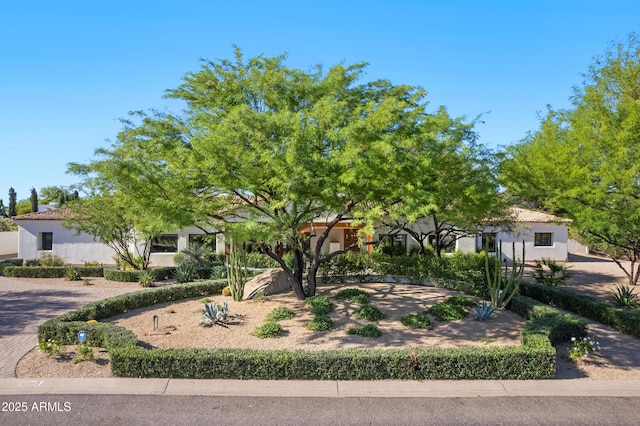 6648 E Horseshoe Rd, Paradise Valley, AZ 85253 - obstructed view of property with stucco siding