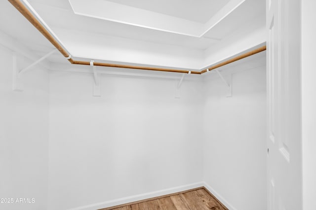 spacious closet with light wood finished floors