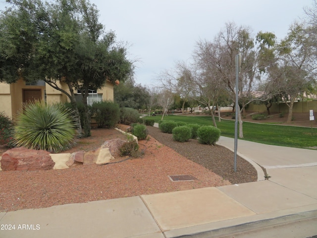 view of property's community with a yard