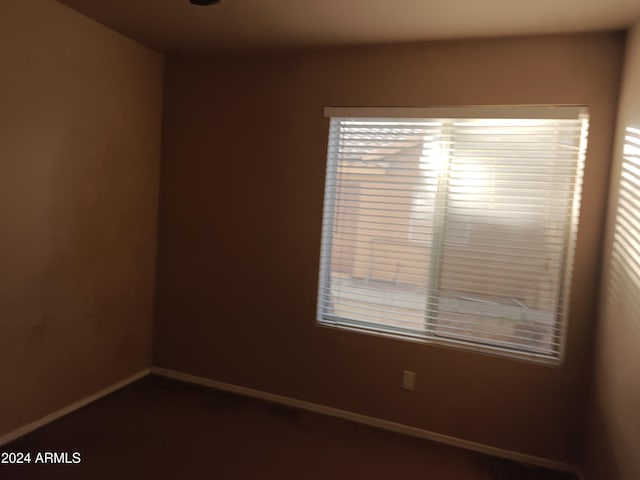 spare room with a wealth of natural light