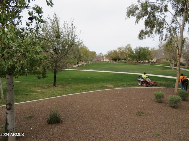 surrounding community featuring a yard