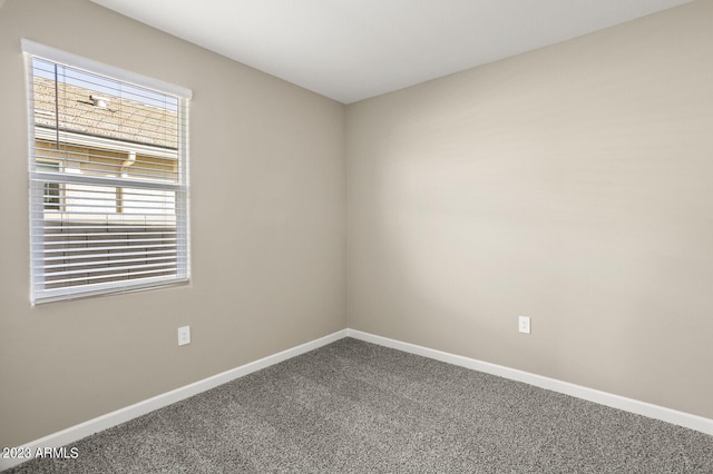 unfurnished room with carpet flooring and a healthy amount of sunlight