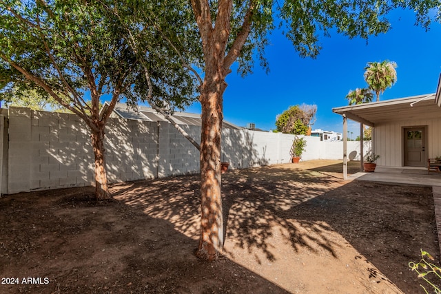 view of yard featuring a patio