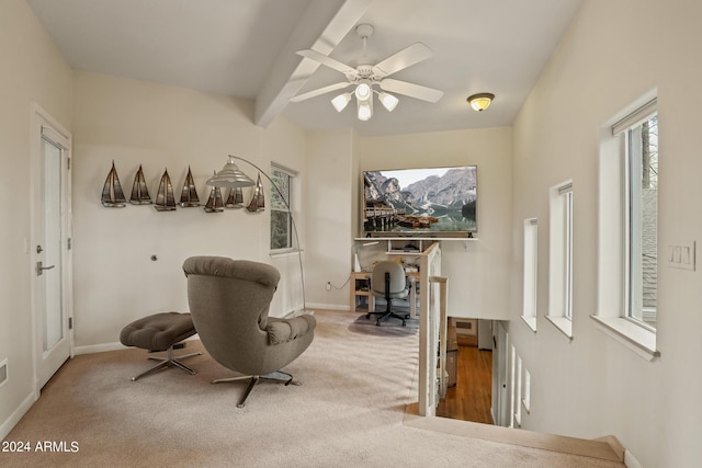 sitting room featuring ceiling fan, carpet floors, and beamed ceiling