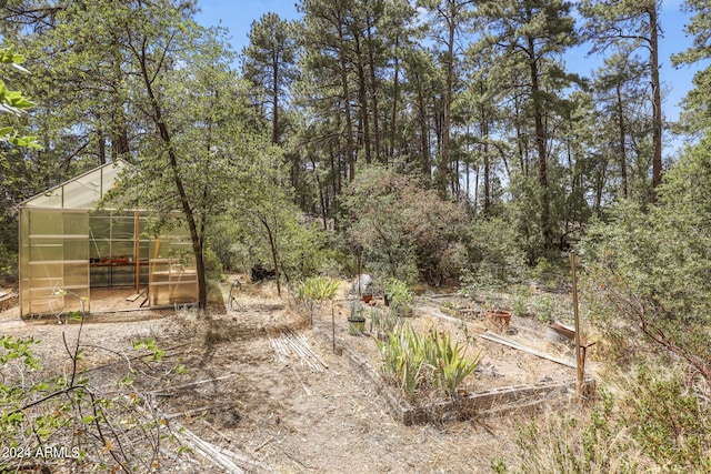 view of yard with an outdoor structure