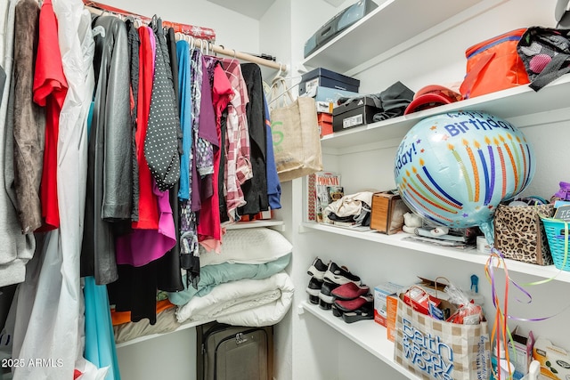 view of spacious closet