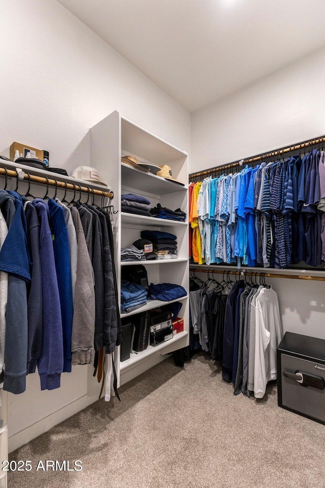 walk in closet with carpet
