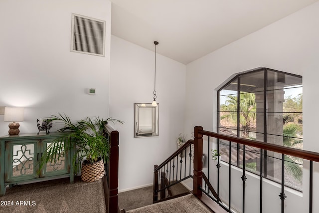 stairway featuring carpet floors