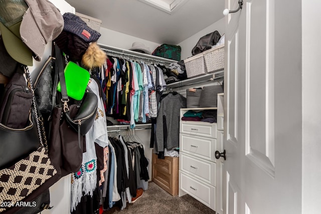 spacious closet with carpet floors