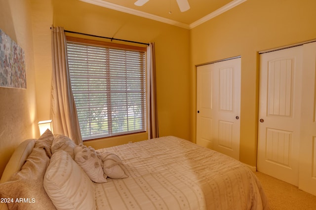 bedroom with carpet, two closets, a ceiling fan, and crown molding