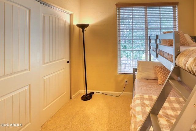 sitting room with baseboards and carpet flooring