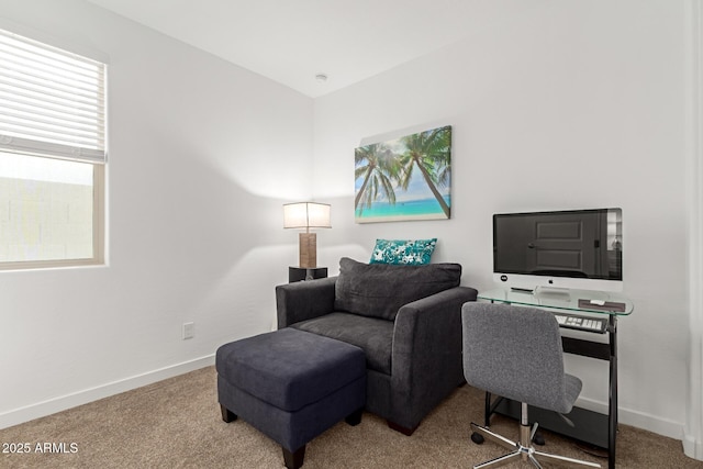 office area featuring carpet and baseboards