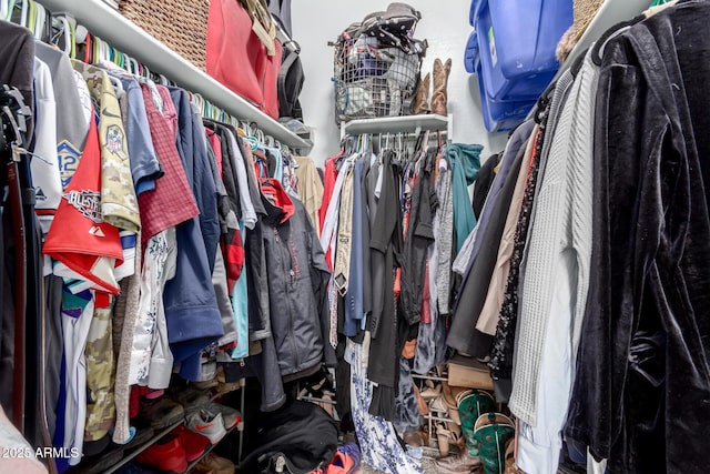 view of spacious closet