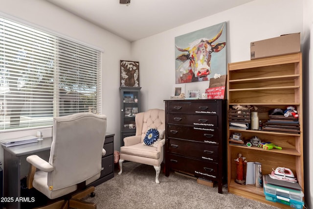 view of carpeted office space