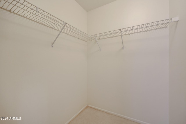 walk in closet featuring light carpet