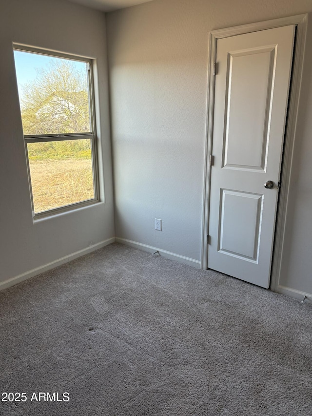 unfurnished room with carpet floors and a wealth of natural light