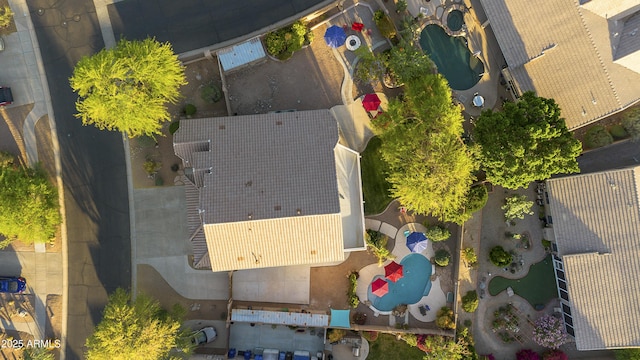 bird's eye view