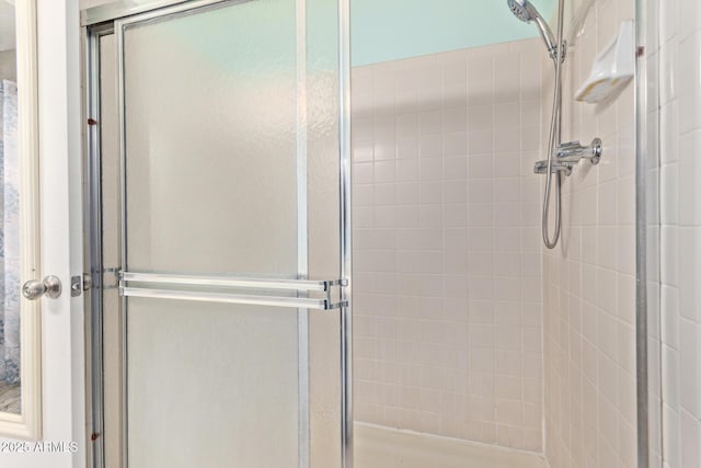 bathroom featuring a shower with shower door