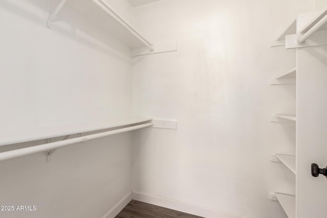 spacious closet featuring dark wood-type flooring