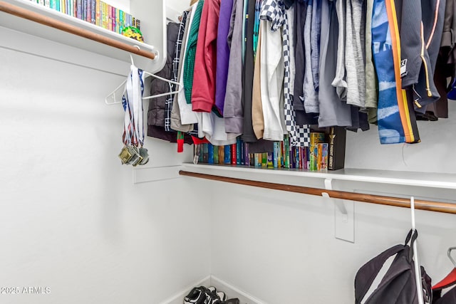 view of walk in closet