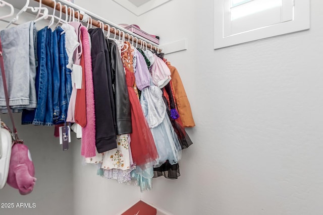 view of spacious closet