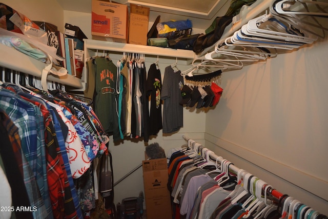 view of spacious closet