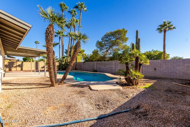 view of pool featuring a patio