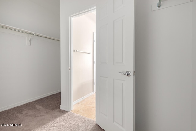 spacious closet featuring light colored carpet