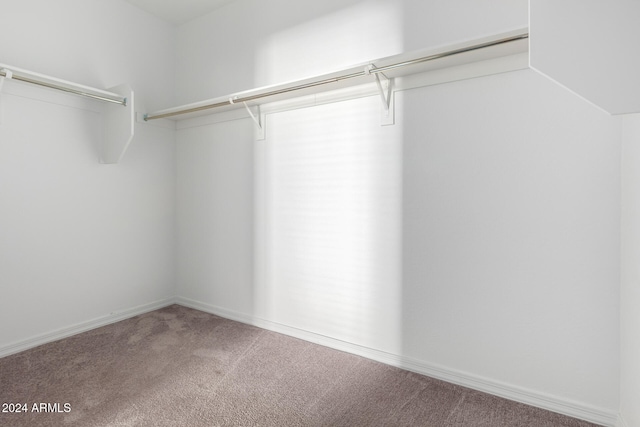 walk in closet with carpet