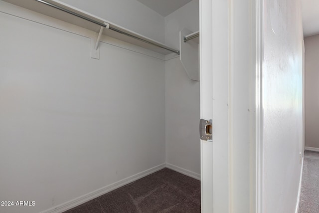 spacious closet featuring dark colored carpet