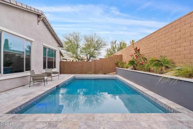 view of swimming pool with a patio area