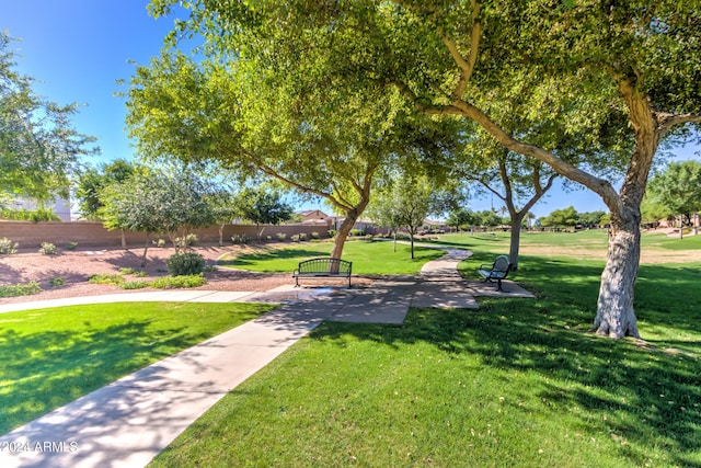 view of community with a lawn