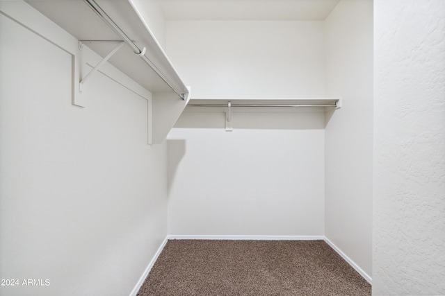 5516 E Mearn Rd, San Tan Valley, AZ 85140 - spacious closet with carpet