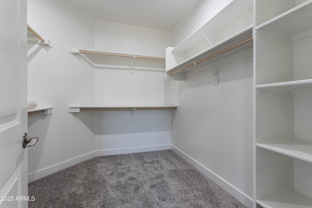9310 W Washington St, Tolleson, AZ 85353 - spacious closet with carpet flooring