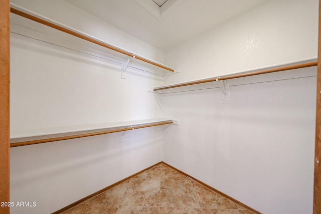 view of walk in closet