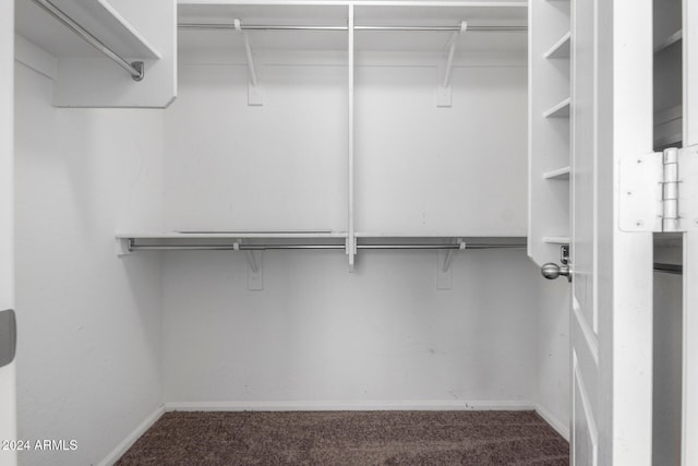 spacious closet with carpet