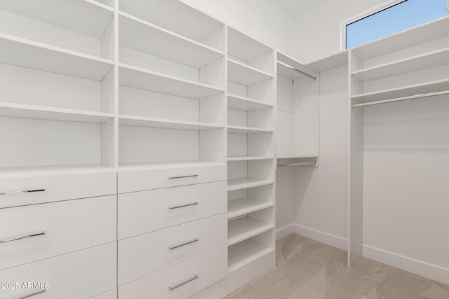 walk in closet featuring light colored carpet