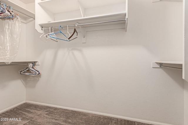 spacious closet with carpet flooring