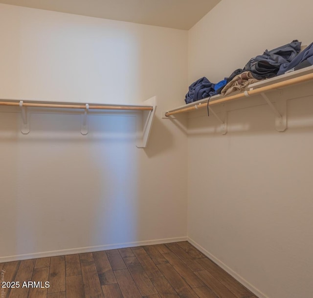 spacious closet featuring dark wood-type flooring